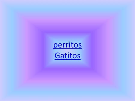 Perritos Gatitos.