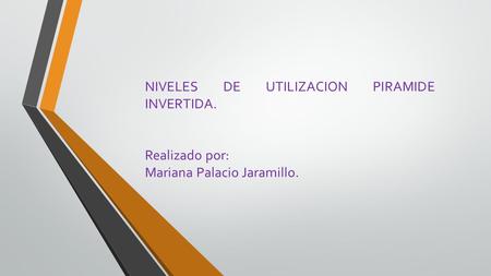 NIVELES DE UTILIZACION PIRAMIDE INVERTIDA.