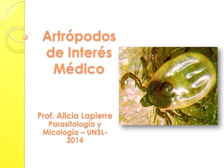 Artrópodos de Interés Médico