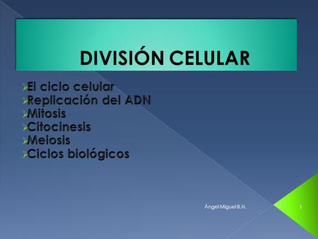 1 Ángel Miguel B.H..  El ciclo celular es el período de crecimiento y división celulares, que tiene lugar durante el ciclo vital de una célula.  En.
