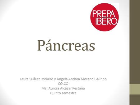 Páncreas Laura Suárez Romero y Ángela Andrea Moreno Galindo CO.CO