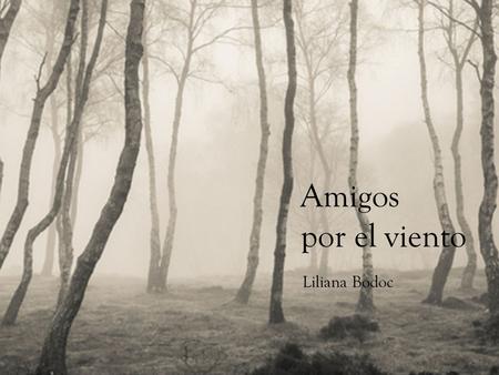 Amigos por el viento Liliana Bodoc.