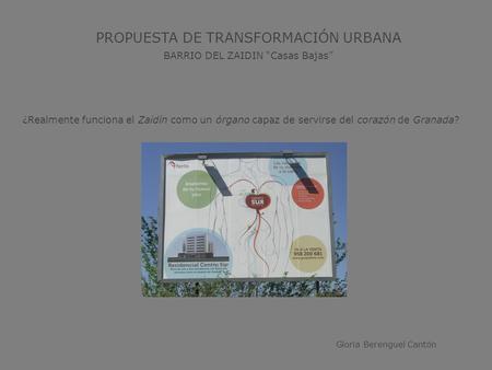 PROPUESTA DE TRANSFORMACIÓN URBANA BARRIO DEL ZAIDIN “Casas Bajas” ¿Realmente funciona el Zaidín como un órgano capaz de servirse del corazón de Granada?