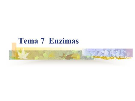 Tema 7 Enzimas.
