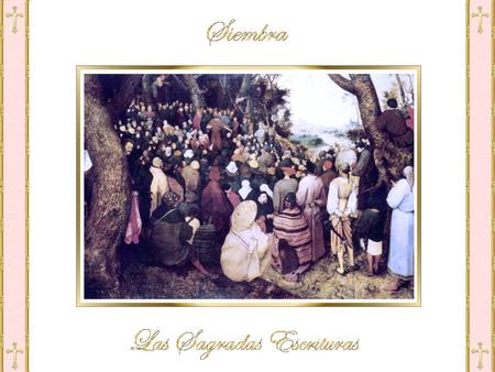 III Domingo de Adviento Gaudete B 6 «Apareció un hombre enviado por Dios, que se llamaba Juan. 7 Vino como testigo, para dar testimonio de la luz, para.