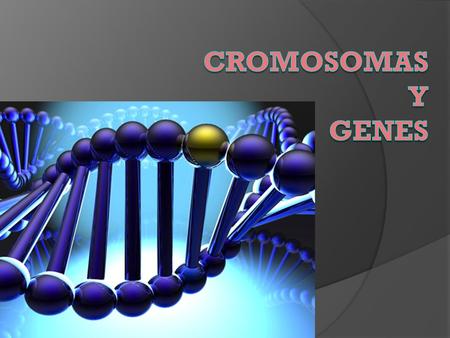 CROMOSOMAS Y GENES.