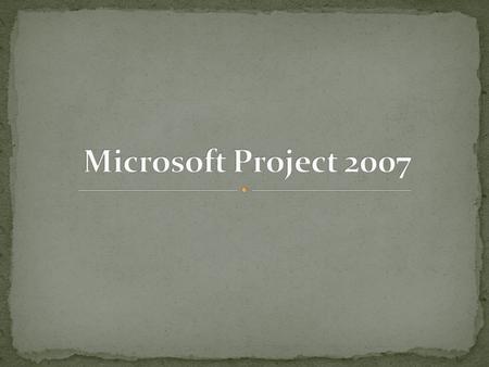 Microsoft Project 2007.