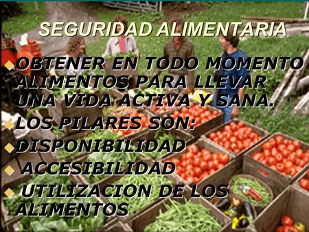 SEGURIDAD ALIMENTARIA