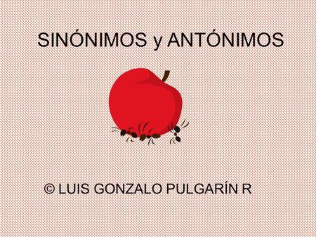 © LUIS GONZALO PULGARÍN R