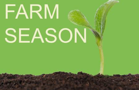 FARM SEASON. 1. ARIANE MENDEL SEBASTIÁN FUENTES SEBASTIÁN GIACOMAN CLAUDIO ROSSELOT JUAN PABLO PIQUIMIL JAVIERA ALVEAR EL EQUIPO.