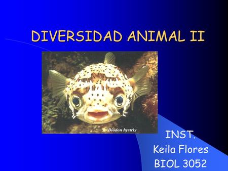 DIVERSIDAD ANIMAL II INST. Keila Flores BIOL 3052.