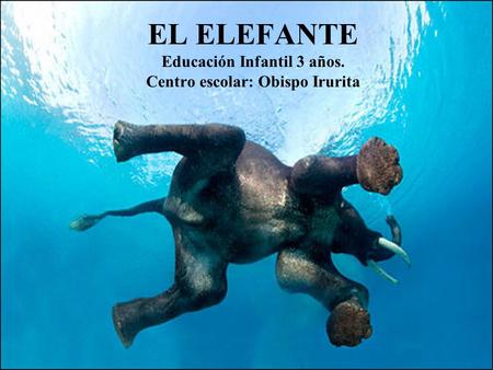 EL ELEFANTE Educación Infantil 3 años. Centro escolar: Obispo Irurita