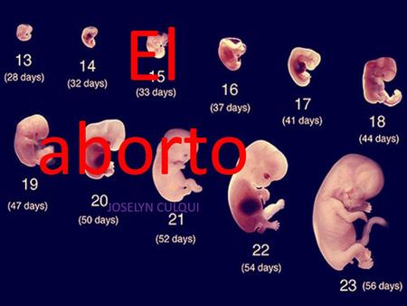 El aborto Joselyn culqui.