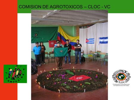 COMISION DE AGROTOXICOS – CLOC - VC. LOS TERRITORIOS AGRO – NEGOCIOS…. 1)Avances del capital en la agricultura: - Monocultivo : caña, flores, palma.