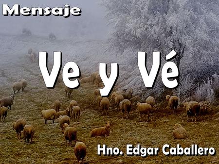 Mensaje Ve y Vé Hno. Edgar Caballero.