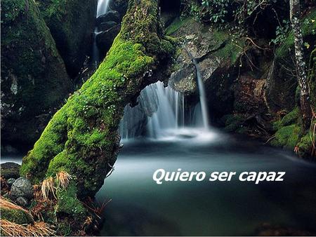 Quiero ser capaz.