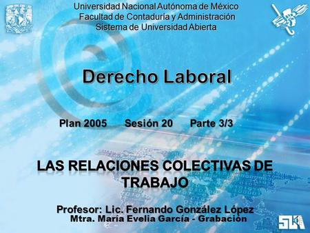 Derecho Laboral Las Relaciones Colectivas de Trabajo Plan 2005