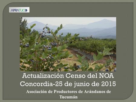 Actualización Censo del NOA Concordia-25 de junio de 2015 Asociación de Productores de Arándanos de Tucumán.