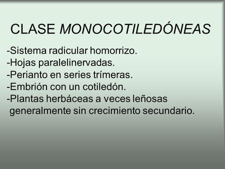 CLASE MONOCOTILEDÓNEAS