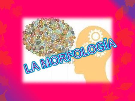 LA MORFOLOGÍA.