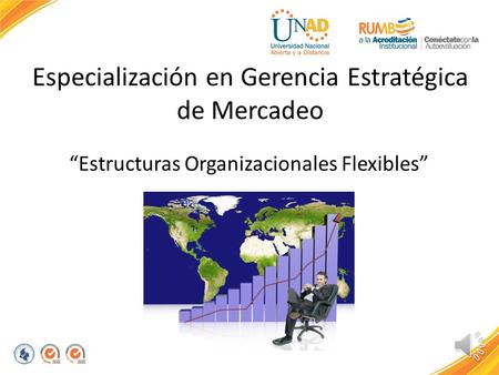 Especialización en Gerencia Estratégica de Mercadeo “Estructuras Organizacionales Flexibles”