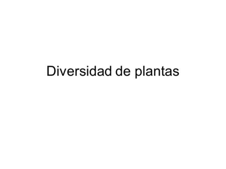 Diversidad de plantas.