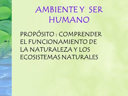 AMBIENTE Y SER HUMANO PROPÓSITO : COMPRENDER EL FUNCIONAMIENTO DE LA NATURALEZA Y LOS ECOSISTEMAS NATURALES.