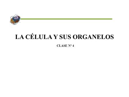 LA CÉLULA Y SUS ORGANELOS CLASE Nº 4