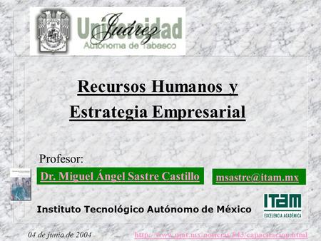 Recursos Humanos y Estrategia Empresarial Profesor: Instituto Tecnológico Autónomo de México 04 de junio de 2004 Dr. Miguel Ángel Sastre.
