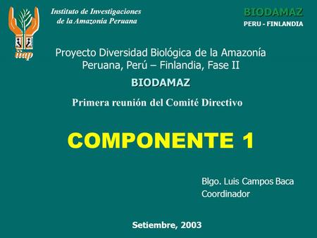 Blgo. Luis Campos Baca Coordinador COMPONENTE 1 Instituto de Investigaciones de la Amazonía Peruana BIODAMAZ PERU - FINLANDIA BIODAMAZ Setiembre, 2003.