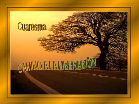 ¡Comienzo el camino! ¡Quiero llegar!. ¡Liberarme de mis errores!. Para ello, necesito:
