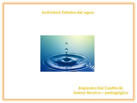 Actividad: Estados del agua Alejandra Del Castillo M. Asesor técnico – pedagógico.