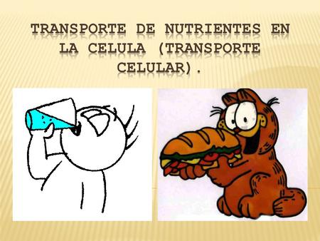 TRANSPORTE DE NUTRIENTES EN LA CELULA (TRANSPORTE CELULAR).