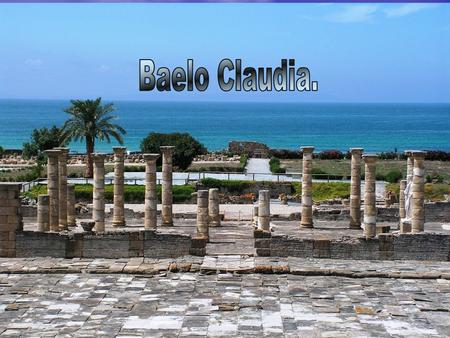 Baelo Claudia se construyó a finales del Siglo II A.c.. Su origen y desarrollo tuvo que ver con el comercio e industria del salazón del pescado y con.