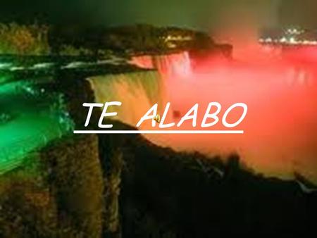 TE ALABO. ¡Te alabo! ¡Bendito, Santo! ¡Recibe mi alabanza! ¡Te alabo a ti, Glorioso Cordero de Dios, que estas a su diestra, sentado en el Trono!