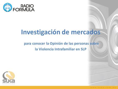 Investigación de mercados para conocer la Opinión de las personas sobre la Violencia Intrafamiliar en SLP.