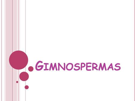 Gimnospermas.