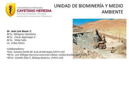 UNIDAD DE BIOMINERÍA Y MEDIO AMBIENTE