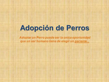 Adopción de Perros Adoptar un Perro puede ser la unica oportunidad que un ser humano tiene de elegir un pariente...