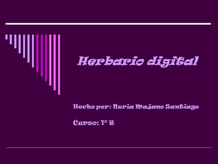 Hecho por: Nuria Majano Santiago Curso: 1º B