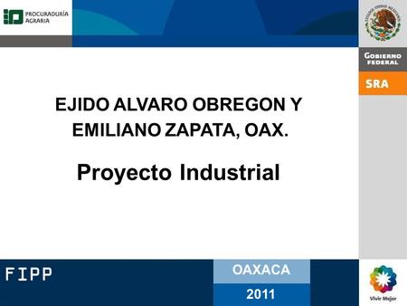 FIPP OAXACA 2011 EJIDO ALVARO OBREGON Y EMILIANO ZAPATA, OAX. Proyecto Industrial.