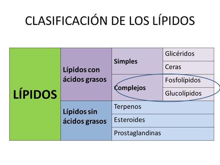 Resultado de imagen para clasificacion de los lipidos