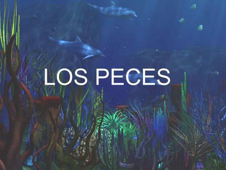 LOS PECES.