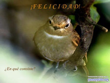 ¡F E L I C I D A D! LA FELICIDAD ¿En qué consiste?