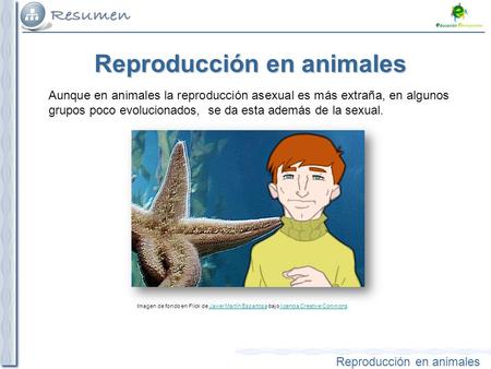 Reproducción en animales