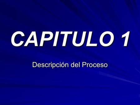 Descripción del Proceso