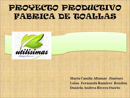 PROYECTO PRODUCTIVO FABRICA DE TOALLAS