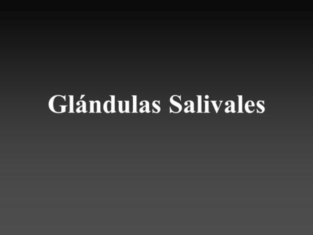 Glándulas Salivales.