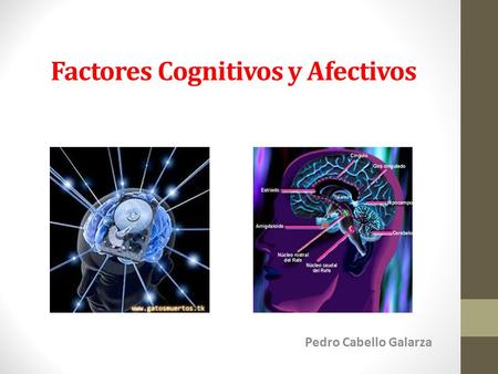 Factores Cognitivos y Afectivos