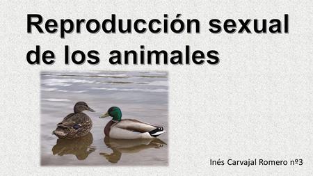 Reproducción sexual de los animales